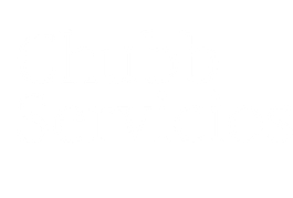 chubb-servicios